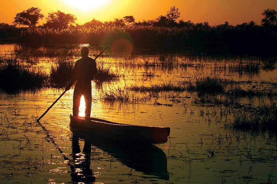 Okavango camps