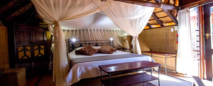 Chobe accommodation