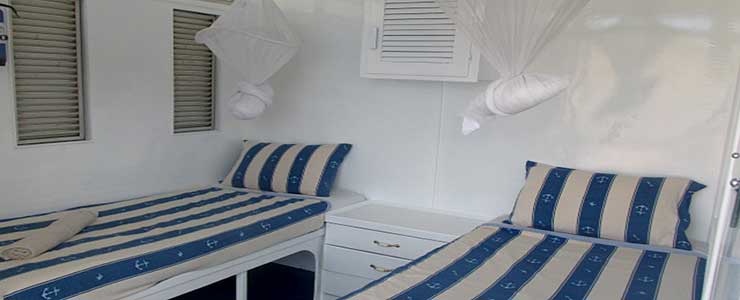 African Queen lake Kariba housebat