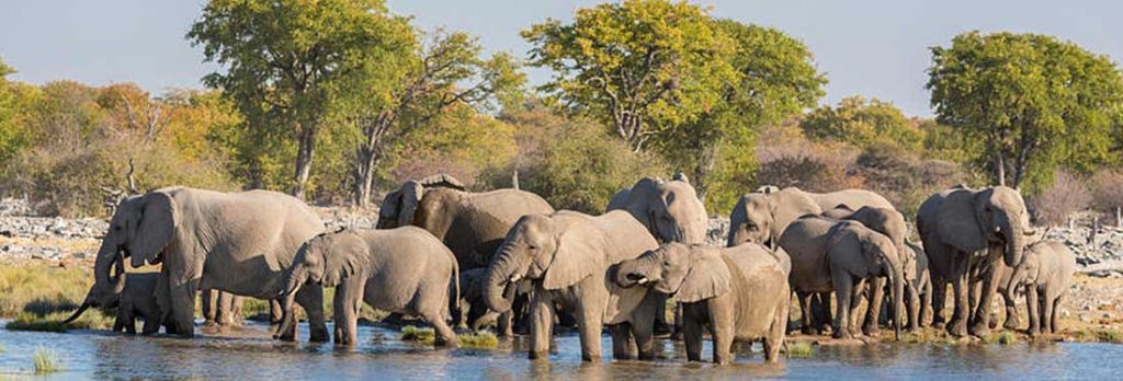 Fly In Safari packages Namibia