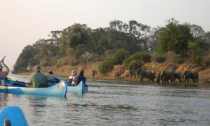 Canoe adventures Zimbabwe
