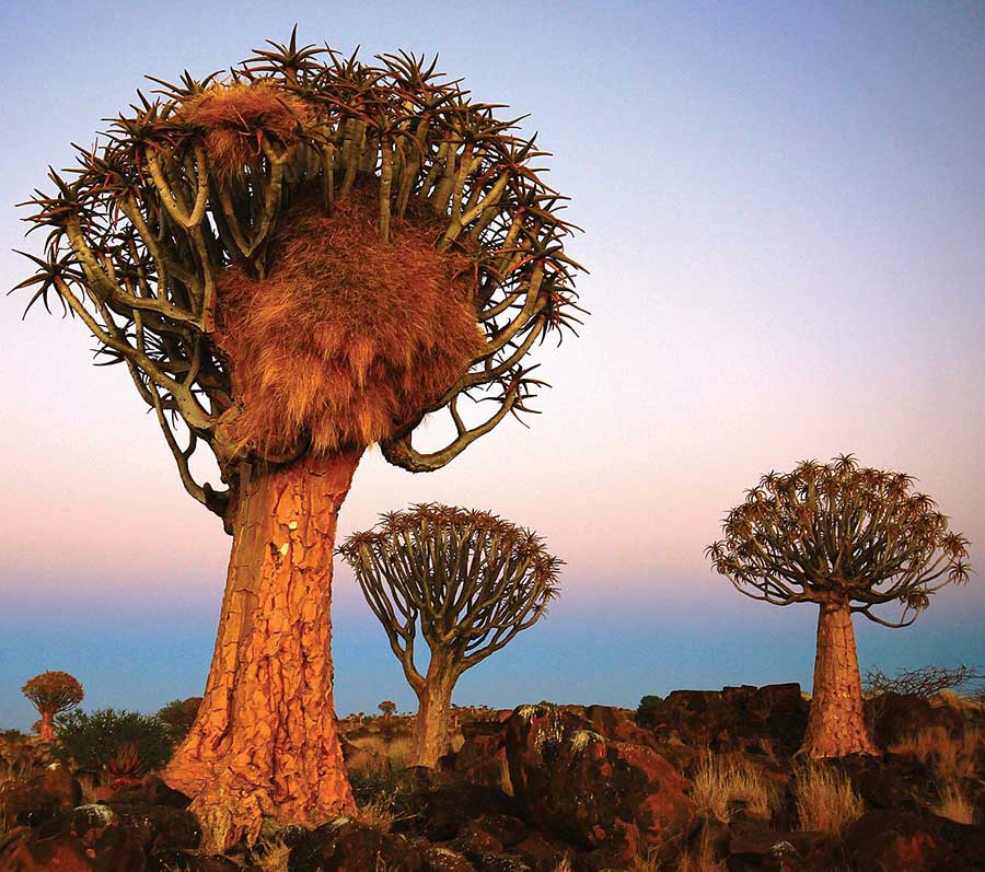 Namibia top tourist attractions