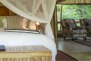 Tuli Safari Lodge
