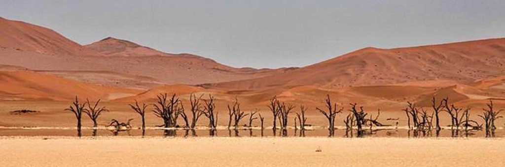 Namibia scheduled tours