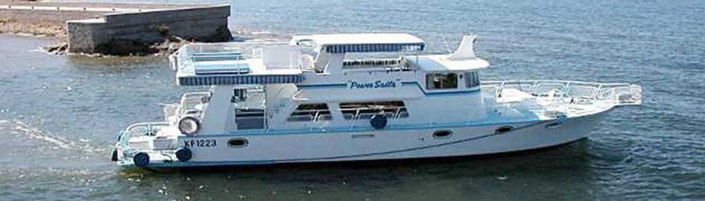 Power Sails luxury cruiser