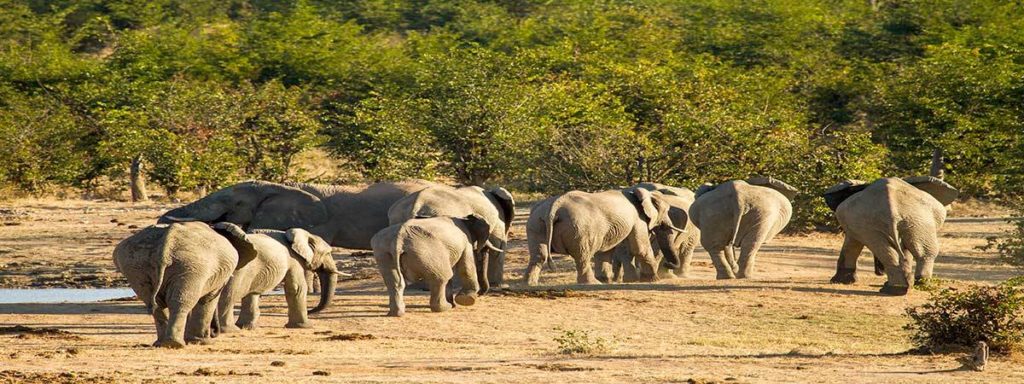 South Africa tour package