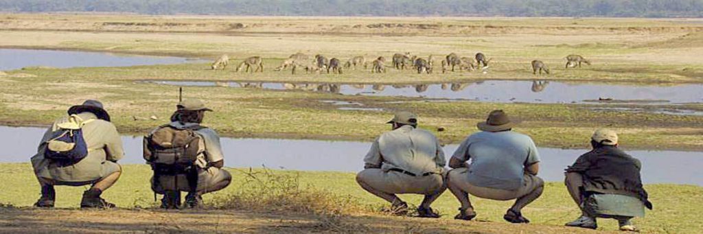 Zimbabwe safari specials and packages