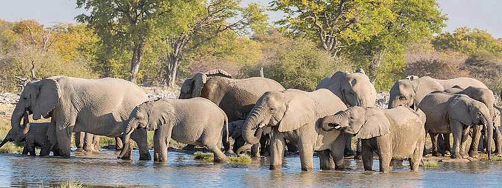 Namibia scheduled tour packages