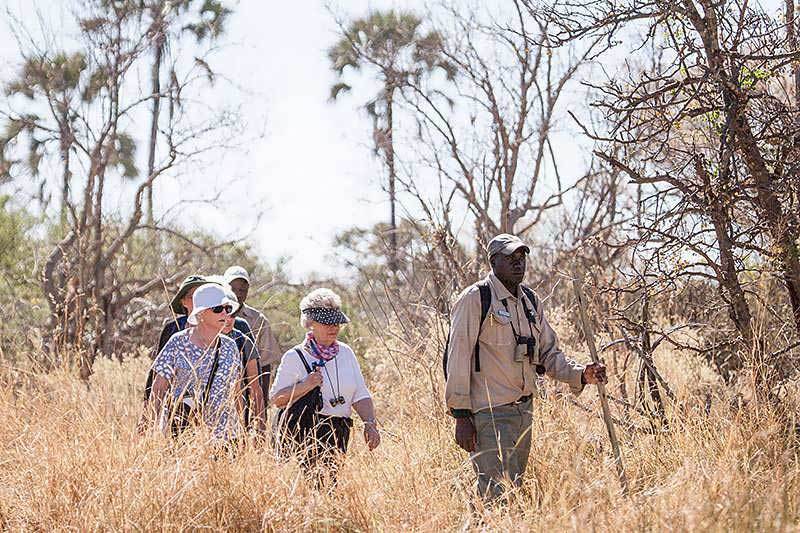 Okavango safari lodges