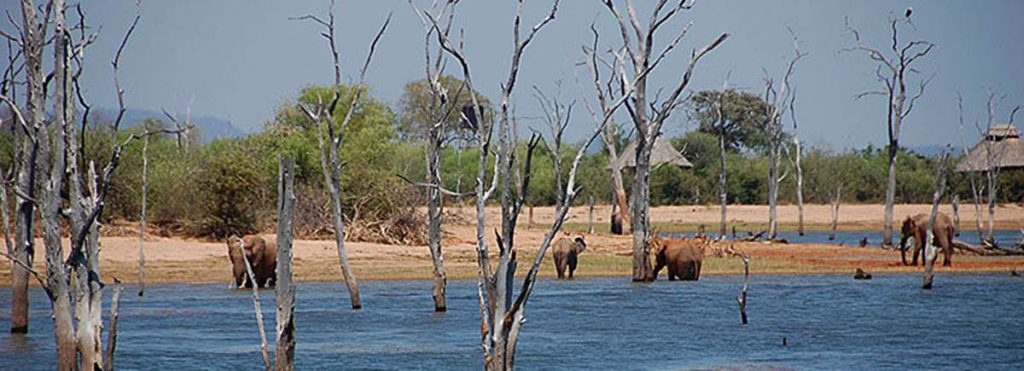Rhino safari camp