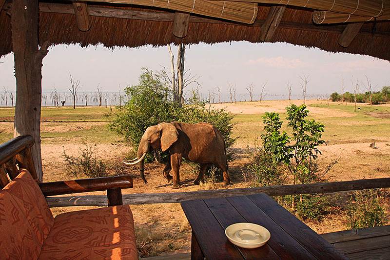 rhino safari camp matusadonha accommodation