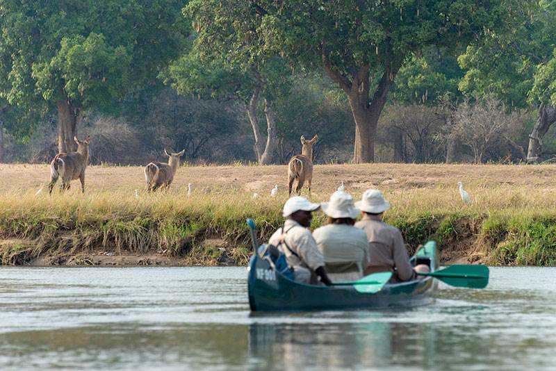 Zambezi canoe trails