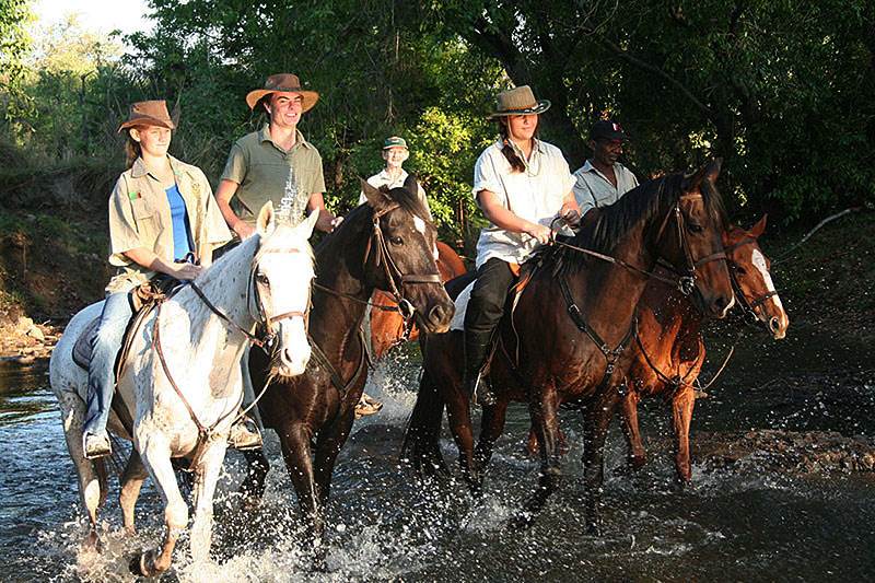 Zambezi river horse trails