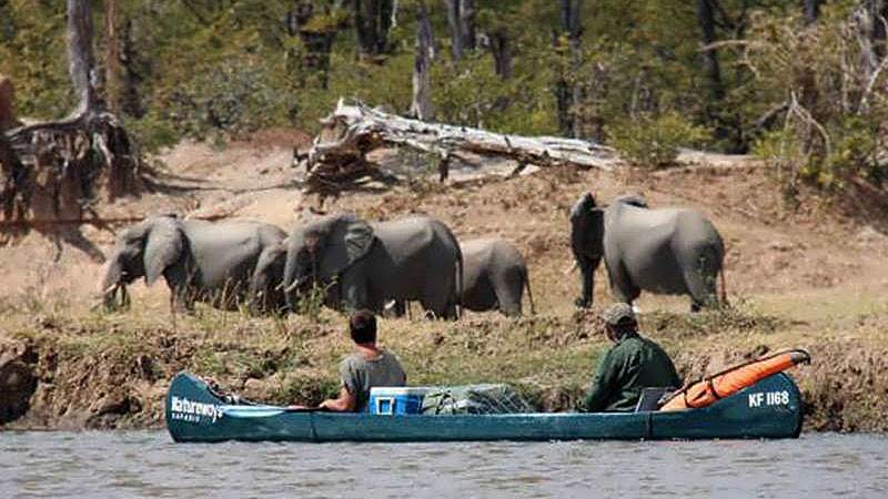 Canoeing and camping safaris