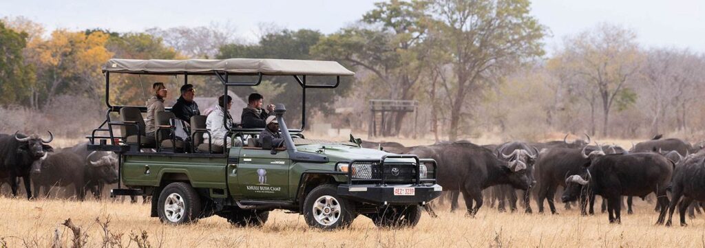 game drive Hwange National Park