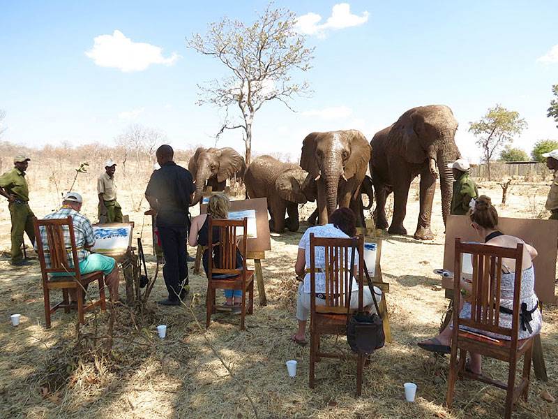 Elephant encounter activity