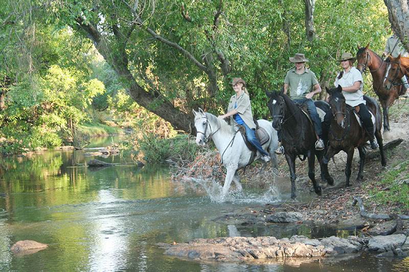 Horse safaris Victoria Falls