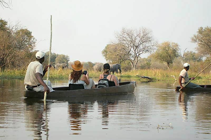 canoeing the Okavango delta