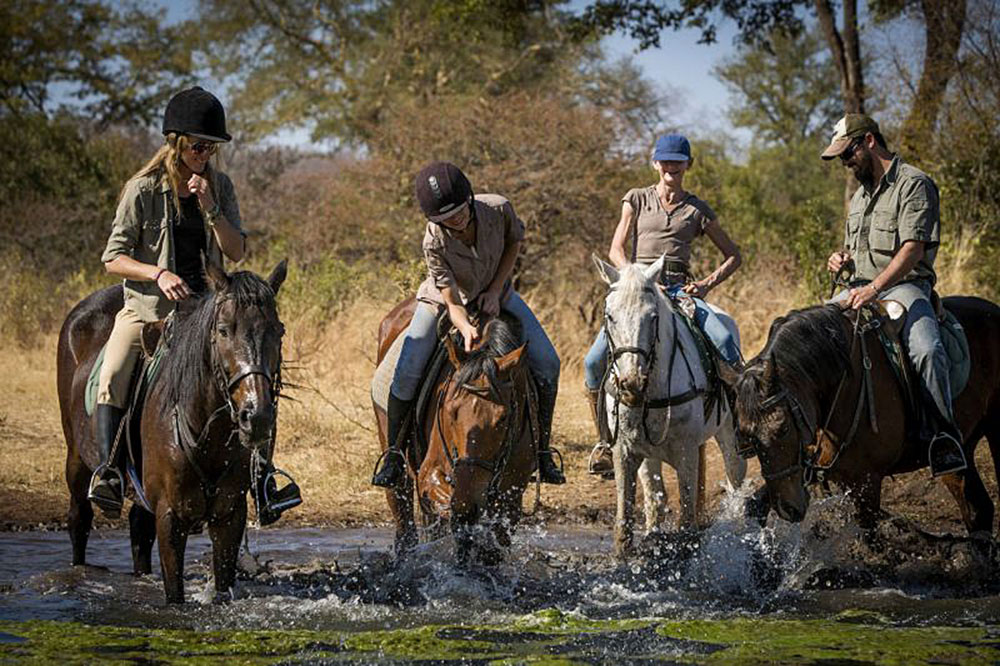 Victoria Falls horse safaris