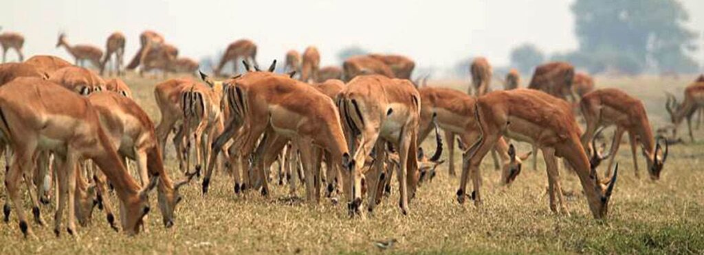 Special travel packages