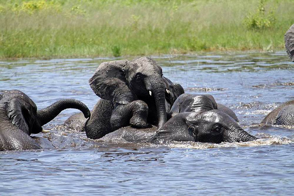 afrizim travel packages