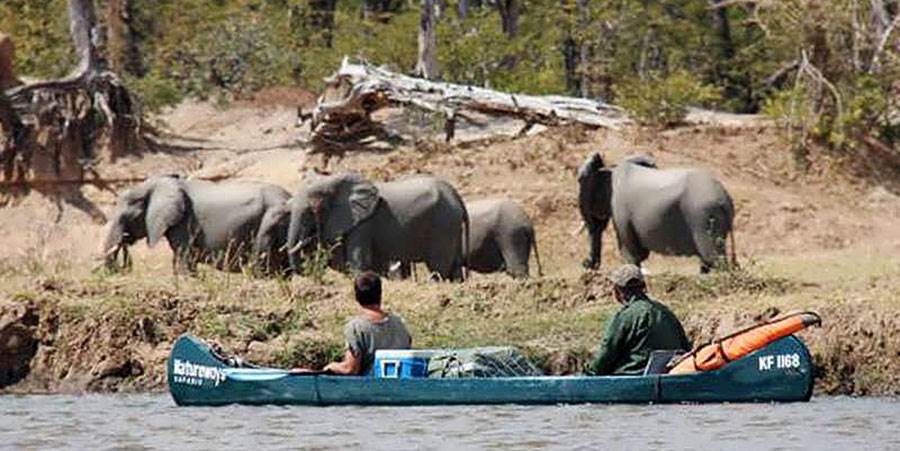 Adventure canoe safaris