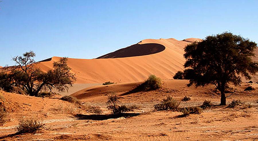 Sossusvlei tours