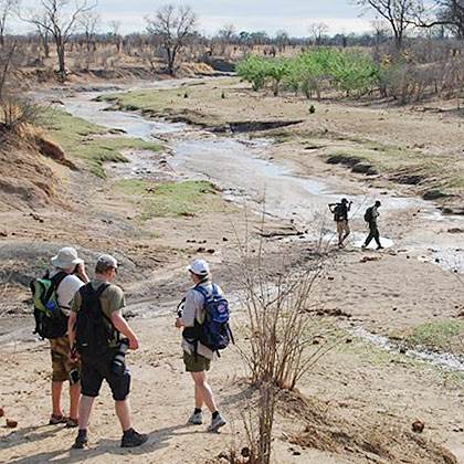 Adventure walking safaris