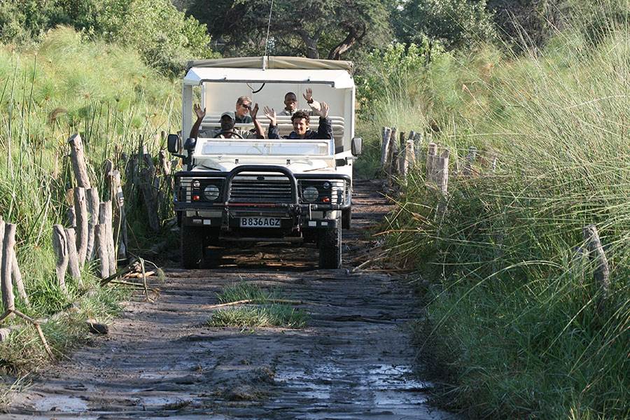 Botswana camping safaris