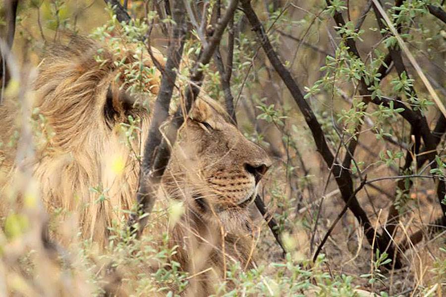 ADVENTURE CAMPING BOTSWANA